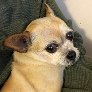 Meet your Posher, Gina